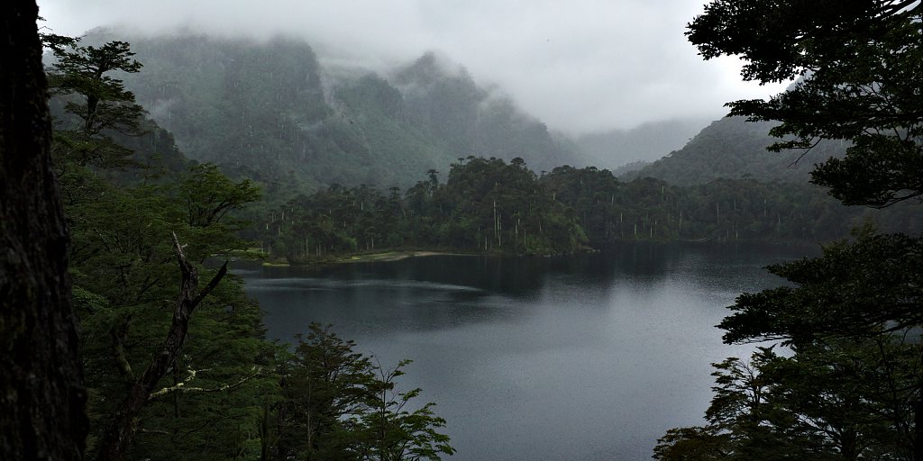 The Lost World