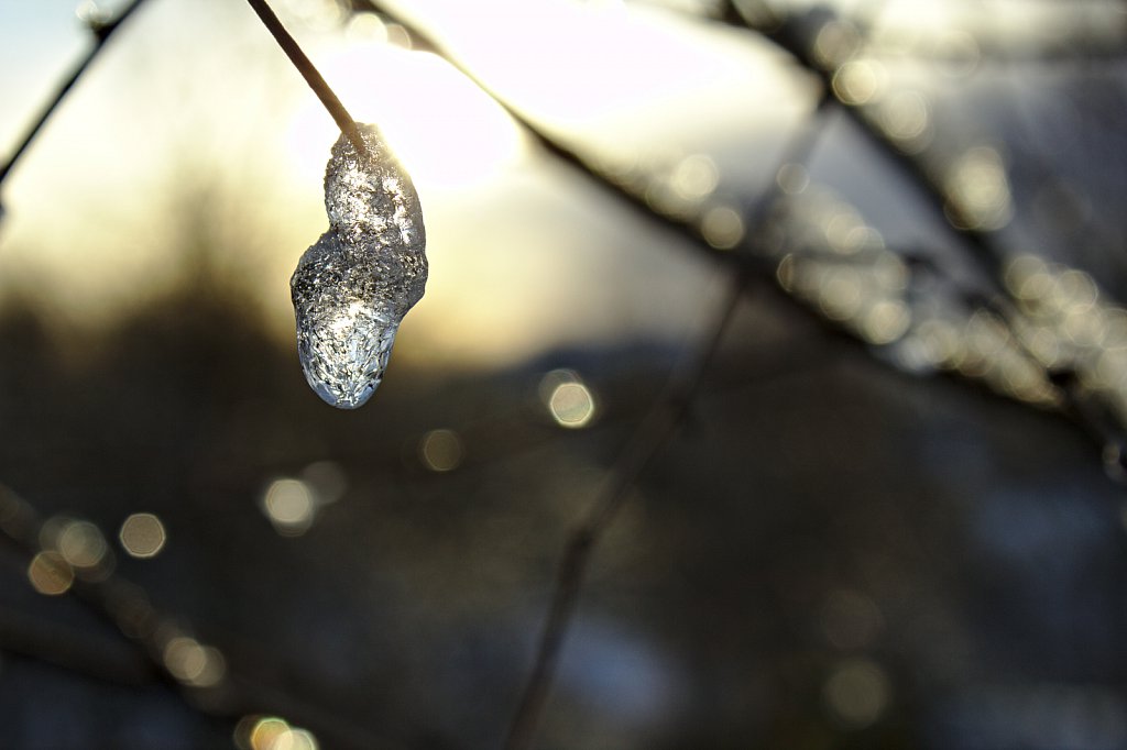 Frozen Tear