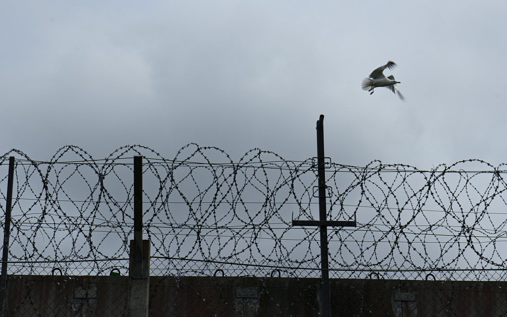  I Am Free.