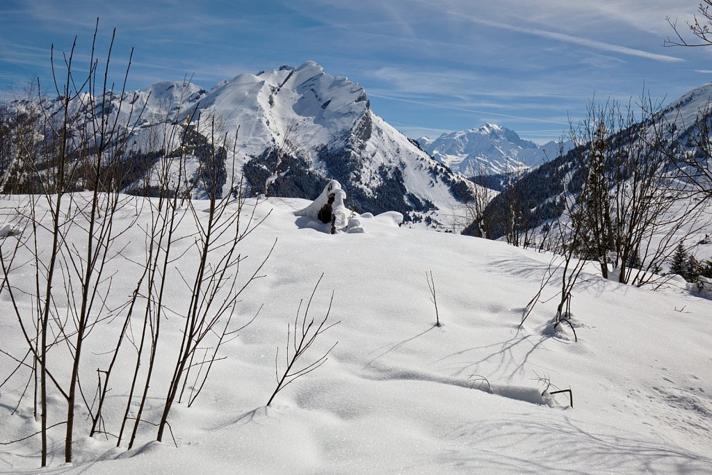 Mont Blanc Peeping