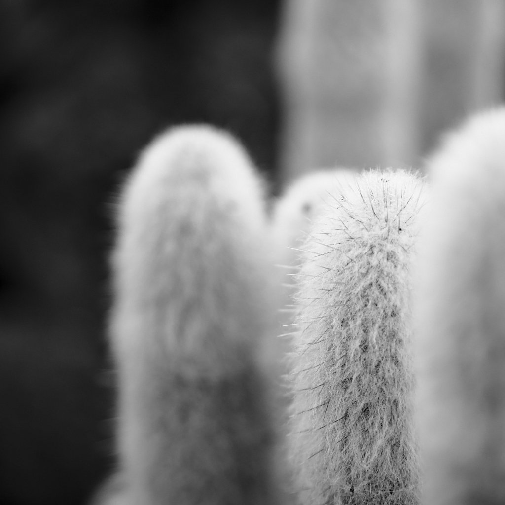 Soft - or is it?